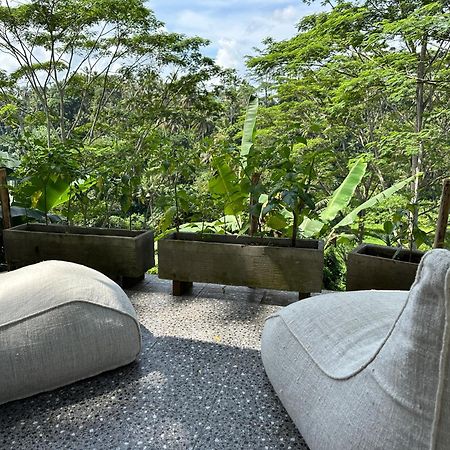 Tirta Asri Ubud Villa Εξωτερικό φωτογραφία