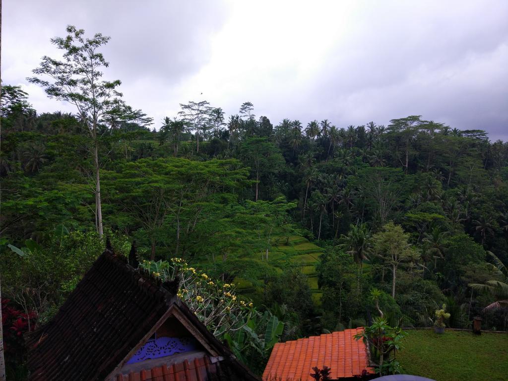 Tirta Asri Ubud Villa Εξωτερικό φωτογραφία