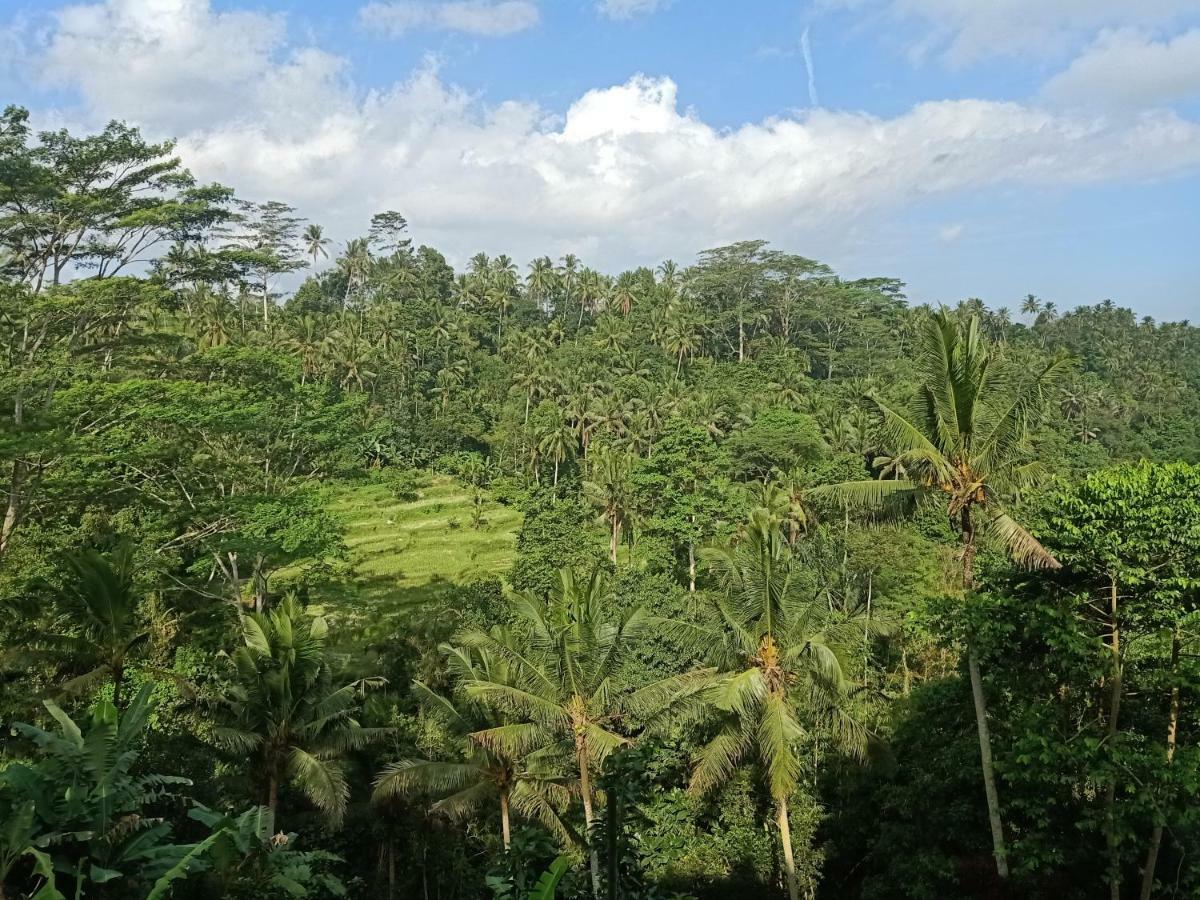 Tirta Asri Ubud Villa Εξωτερικό φωτογραφία