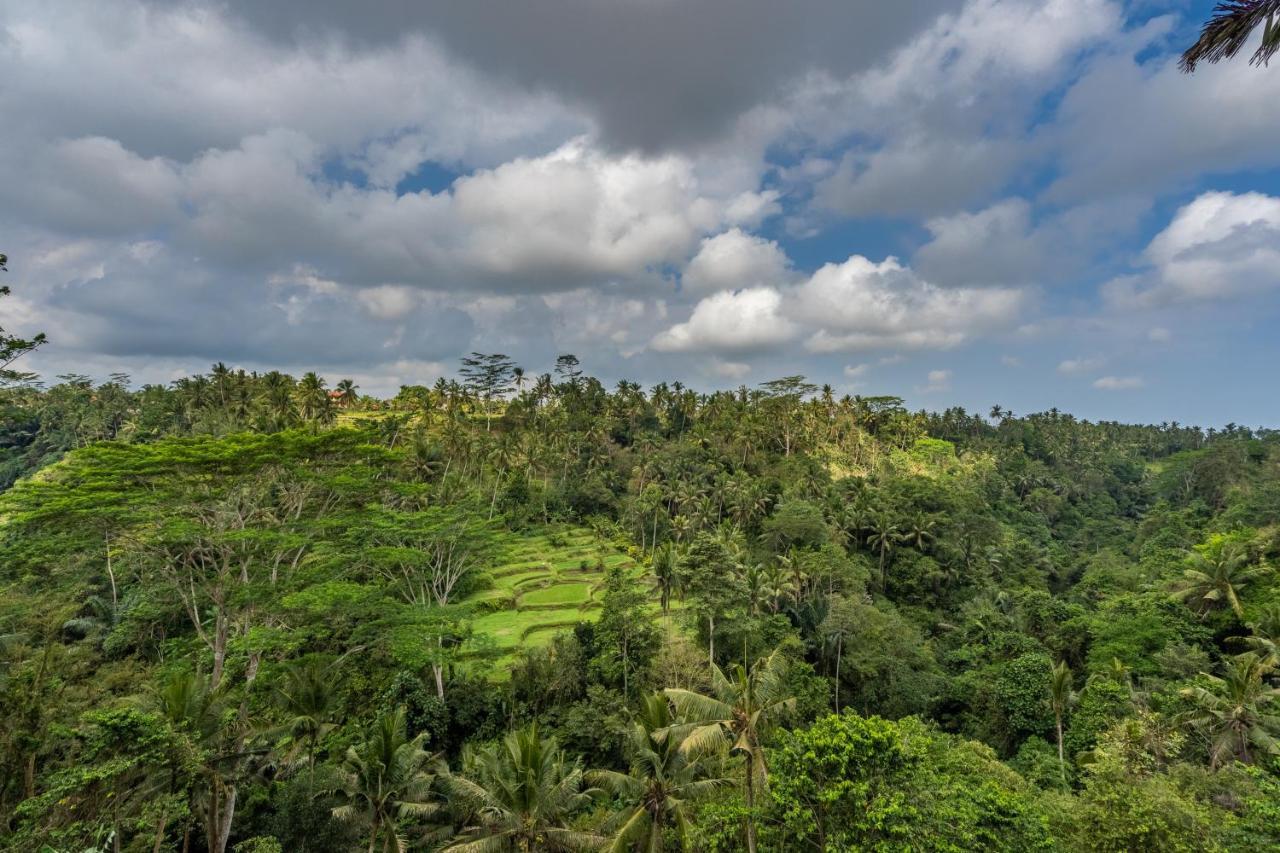 Tirta Asri Ubud Villa Εξωτερικό φωτογραφία