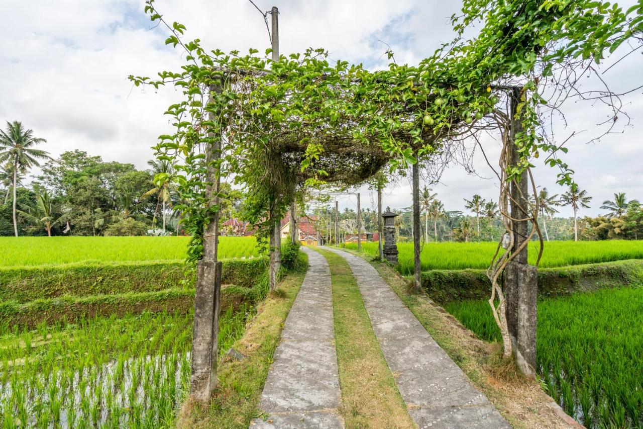 Tirta Asri Ubud Villa Εξωτερικό φωτογραφία