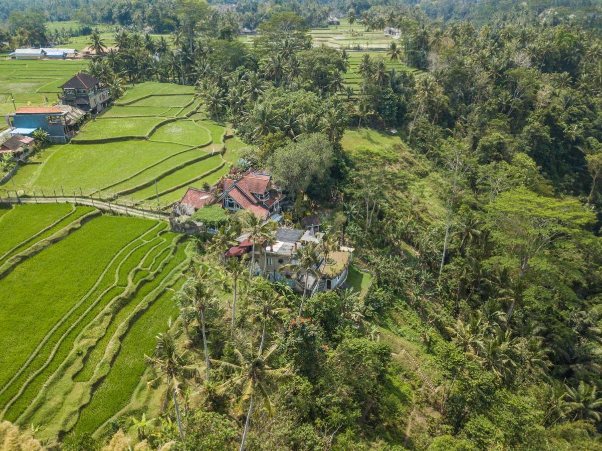 Tirta Asri Ubud Villa Εξωτερικό φωτογραφία